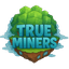 server icon
