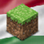 server icon